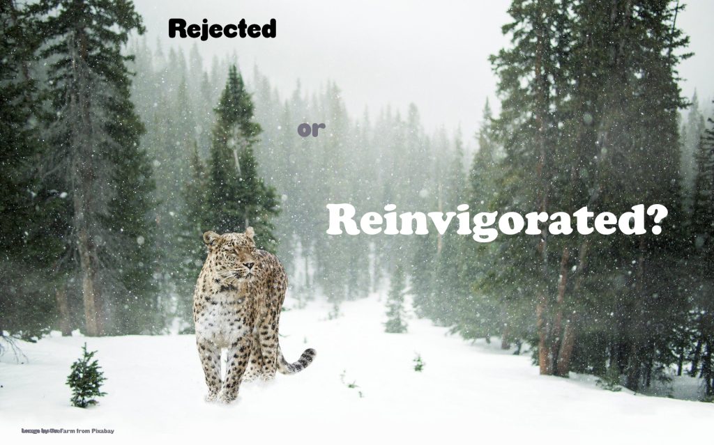 Rejected or Reinvigorated?