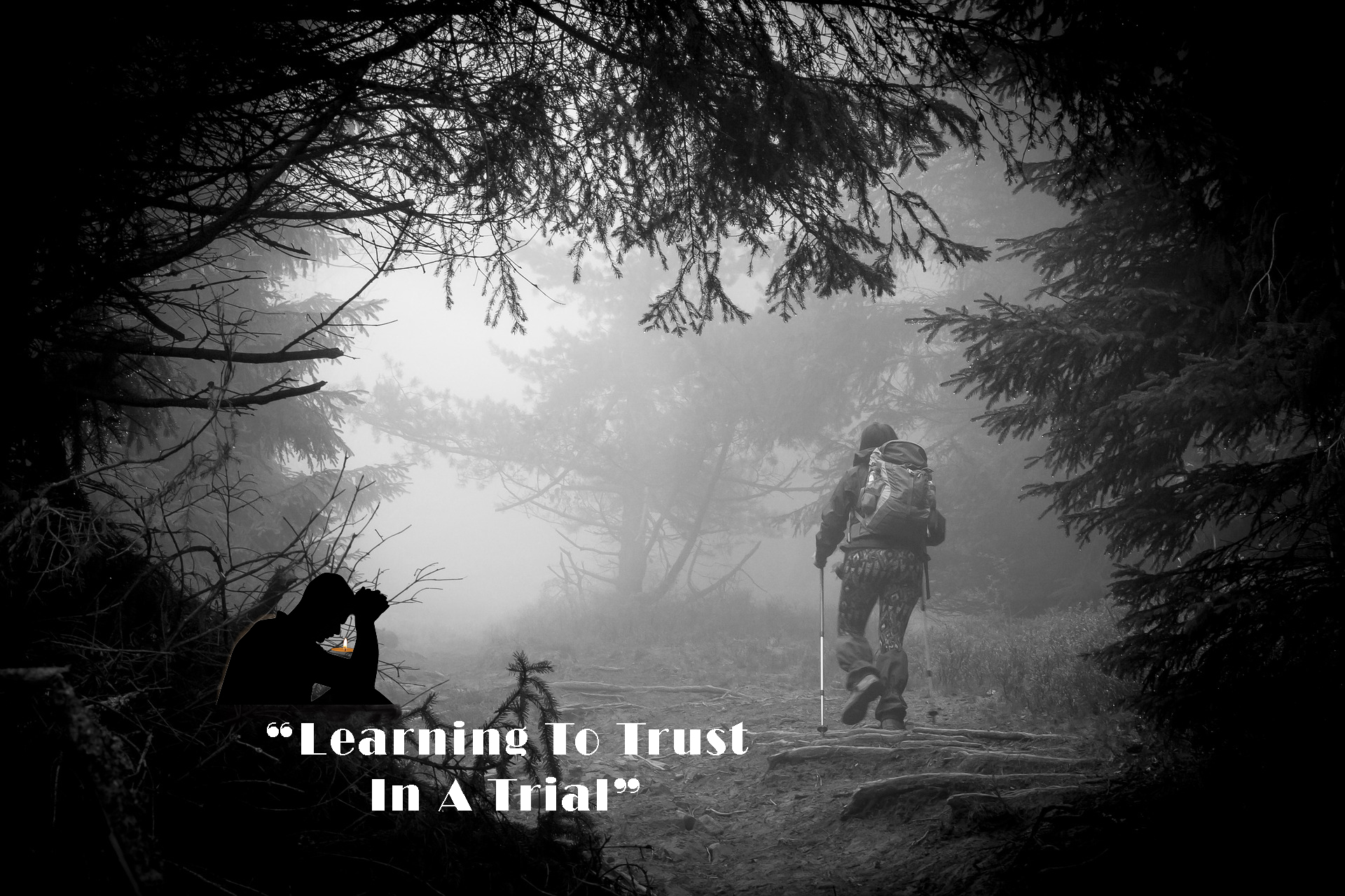 “Learning To Trust In A Trial”