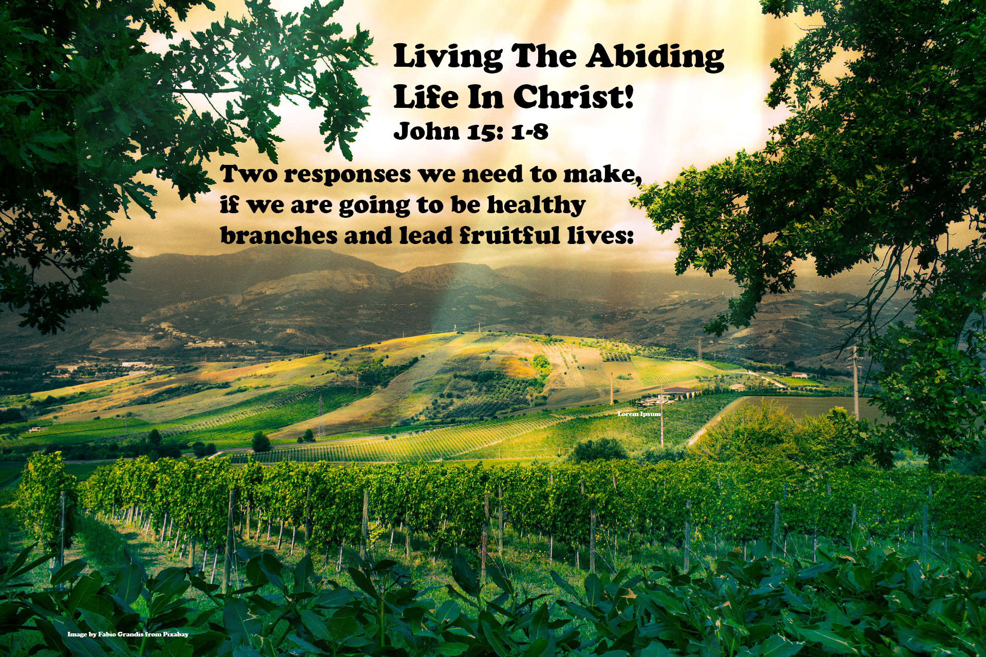 Living The Abiding Life In Christ!
